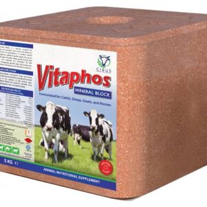 Mineral Lick Salt Blocks for Camels and Cattle