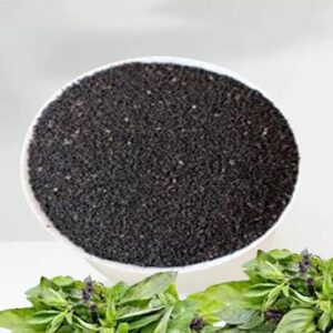 Non-GMO Organic Sweet Basil Herb Seeds (500 Seeds)