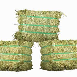 Premium Alfalfa Hay Bales for Livestock (10kg)